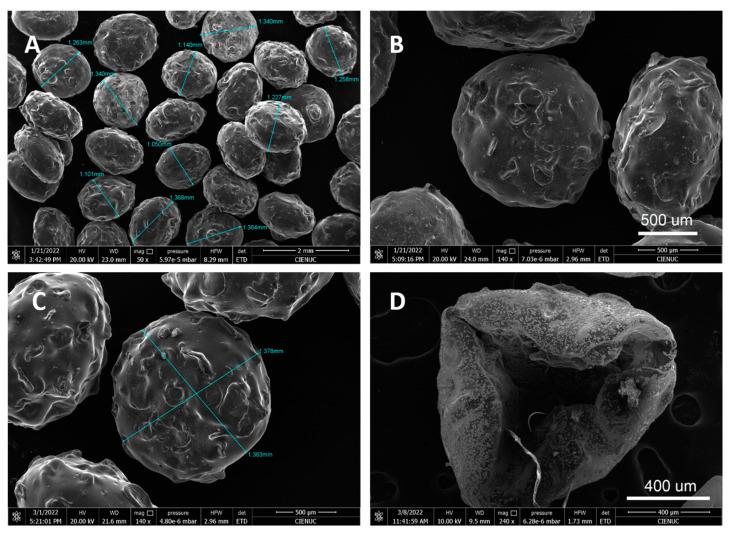 https://cdn.ncbi.nlm.nih.gov/pmc/blobs/41ad/11507657/8f8a8a570c3e/gels-10-00672-g006.jpg
