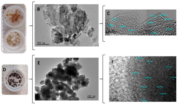 https://cdn.ncbi.nlm.nih.gov/pmc/blobs/41ad/11507657/d392e8c9aa64/gels-10-00672-g005.jpg