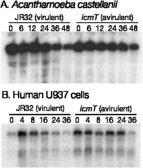 https://cdn.ncbi.nlm.nih.gov/pmc/blobs/41ad/2683564/211866d01564/pone.0005706.g005.jpg