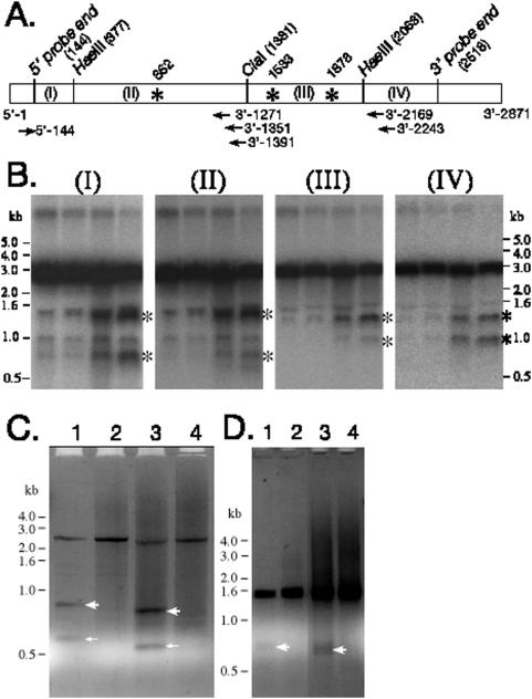 https://cdn.ncbi.nlm.nih.gov/pmc/blobs/41ad/2683564/e09ddbdad849/pone.0005706.g003.jpg