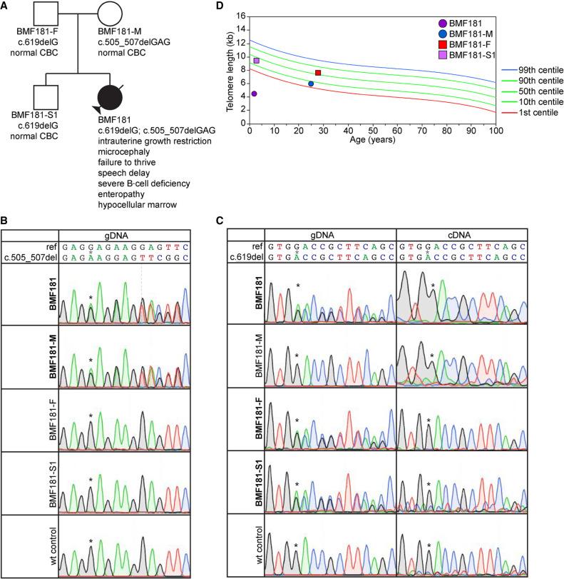 https://cdn.ncbi.nlm.nih.gov/pmc/blobs/41b0/7903889/6a16733d078c/MCS005454Hen_F2.jpg