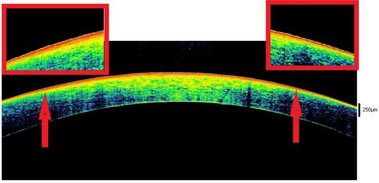 https://cdn.ncbi.nlm.nih.gov/pmc/blobs/41b2/9497849/987ea52fd068/diagnostics-12-02169-g003.jpg