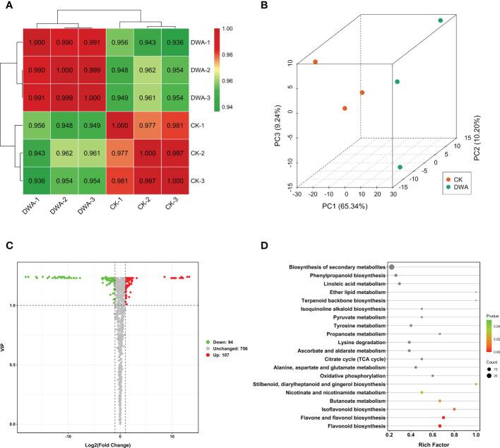 https://cdn.ncbi.nlm.nih.gov/pmc/blobs/41b3/9794620/765387a4d027/fpls-13-1014396-g003.jpg