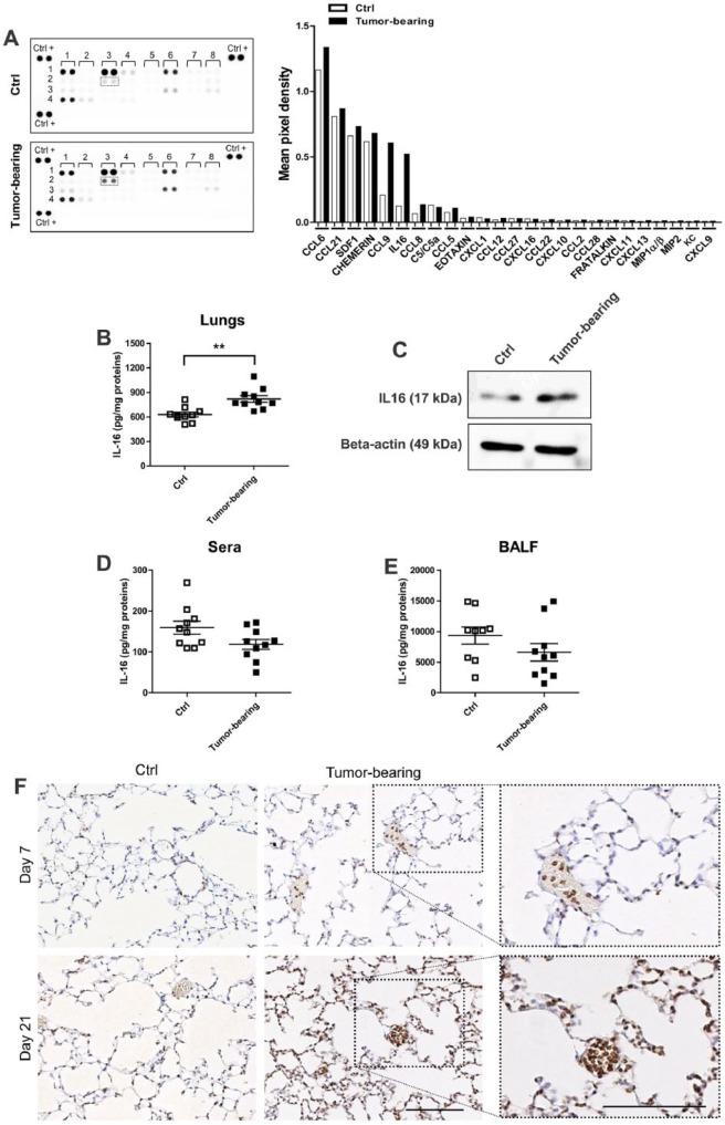 https://cdn.ncbi.nlm.nih.gov/pmc/blobs/41b4/5661667/1407c3fad722/10.1177_1179064417738513-fig2.jpg