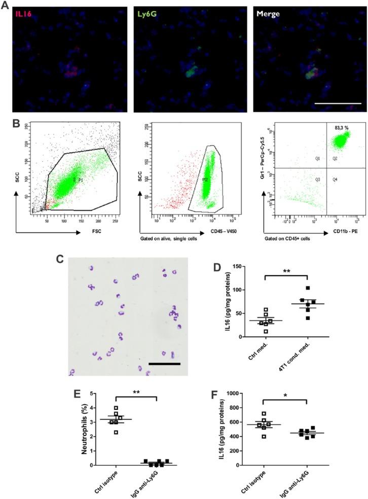 https://cdn.ncbi.nlm.nih.gov/pmc/blobs/41b4/5661667/61112e8010f5/10.1177_1179064417738513-fig3.jpg
