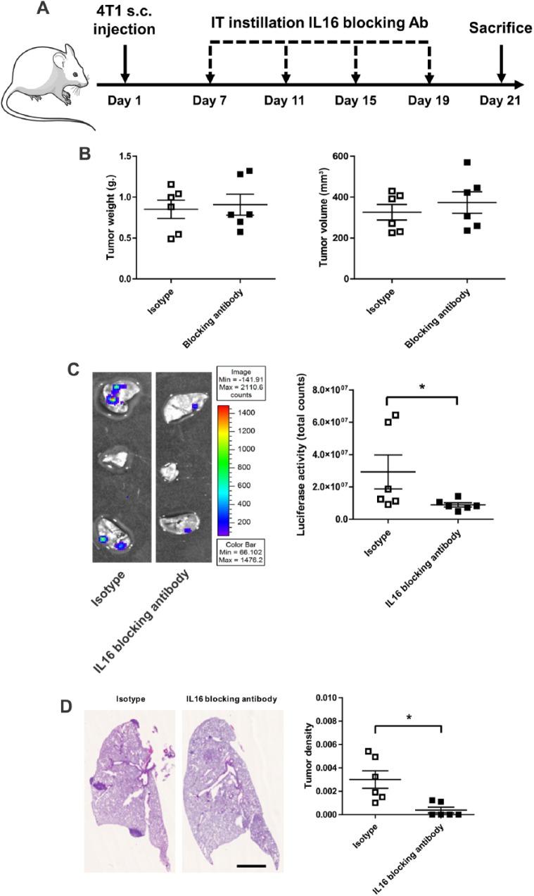 https://cdn.ncbi.nlm.nih.gov/pmc/blobs/41b4/5661667/ab9d1fddfd9a/10.1177_1179064417738513-fig5.jpg