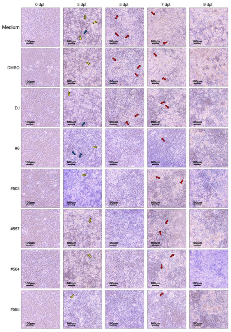 https://cdn.ncbi.nlm.nih.gov/pmc/blobs/41b5/10458103/6228d014ea29/pharmaceutics-15-02123-g005.jpg