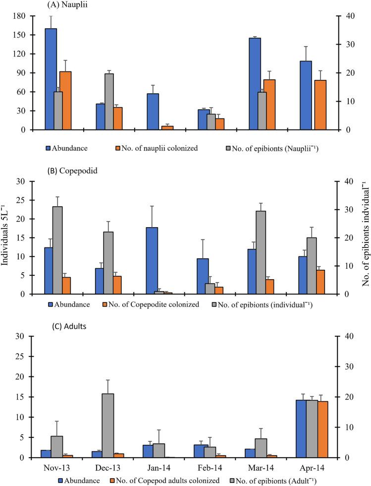 https://cdn.ncbi.nlm.nih.gov/pmc/blobs/41b5/9805443/0aa2534cb966/41598_2022_26004_Fig4_HTML.jpg