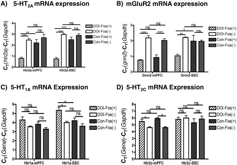 https://cdn.ncbi.nlm.nih.gov/pmc/blobs/41b6/5050000/a2efe8774c81/gr3.jpg