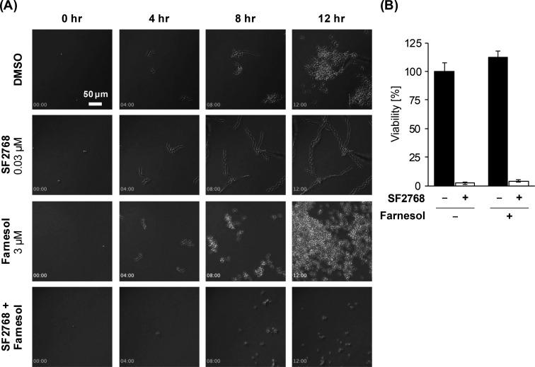 https://cdn.ncbi.nlm.nih.gov/pmc/blobs/41b7/12057359/02f0ea044114/aac.00033-25.f003.jpg