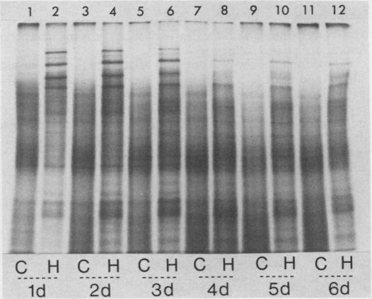 https://cdn.ncbi.nlm.nih.gov/pmc/blobs/41b8/1066968/3874beb71ab2/plntphys00577-0141-a.jpg