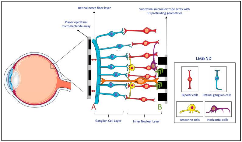 https://cdn.ncbi.nlm.nih.gov/pmc/blobs/41b9/10347280/9e6b3ca221f4/sensors-23-05782-g006.jpg