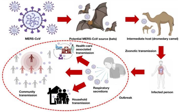 https://cdn.ncbi.nlm.nih.gov/pmc/blobs/41ba/9386292/9949abfdc6d6/fpubh-10-933333-g0001.jpg