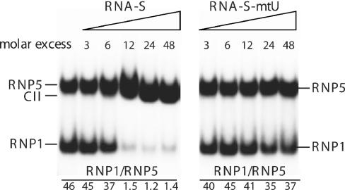 https://cdn.ncbi.nlm.nih.gov/pmc/blobs/41bc/1142404/122b7a703f71/gki630f5.jpg