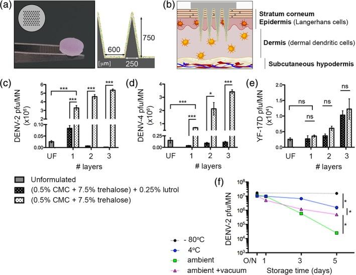 https://cdn.ncbi.nlm.nih.gov/pmc/blobs/41be/6584444/cc120db05c77/BTM2-4-na-g001.jpg