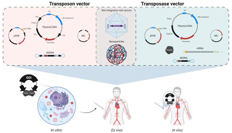 https://cdn.ncbi.nlm.nih.gov/pmc/blobs/41bf/8151067/3e719457de90/ijms-22-05084-g003.jpg