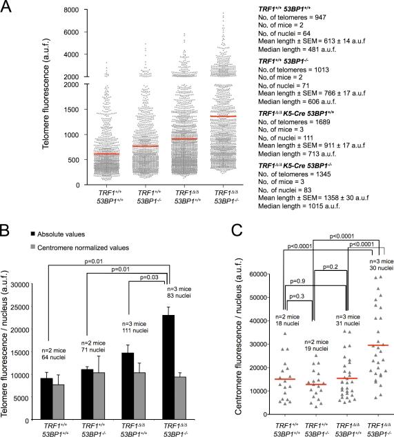 https://cdn.ncbi.nlm.nih.gov/pmc/blobs/41c0/3328378/92ca7473e93a/JCB_201110124_Fig9.jpg