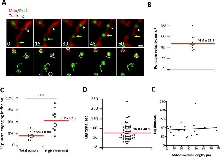 https://cdn.ncbi.nlm.nih.gov/pmc/blobs/41c1/4755738/9c6db9b4e684/elife-11553-fig3.jpg