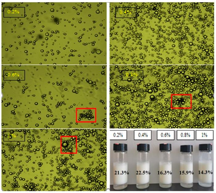 https://cdn.ncbi.nlm.nih.gov/pmc/blobs/41c3/9503630/4e2835b517ab/molecules-27-06036-g006.jpg
