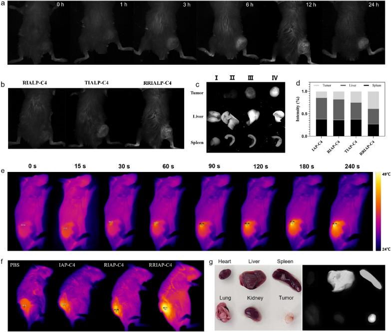 https://cdn.ncbi.nlm.nih.gov/pmc/blobs/41c3/9823176/b4d89c334311/40580_2022_352_Fig7_HTML.jpg