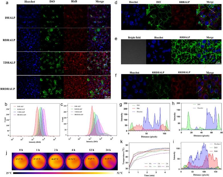 https://cdn.ncbi.nlm.nih.gov/pmc/blobs/41c3/9823176/e93f36626c9e/40580_2022_352_Fig5_HTML.jpg