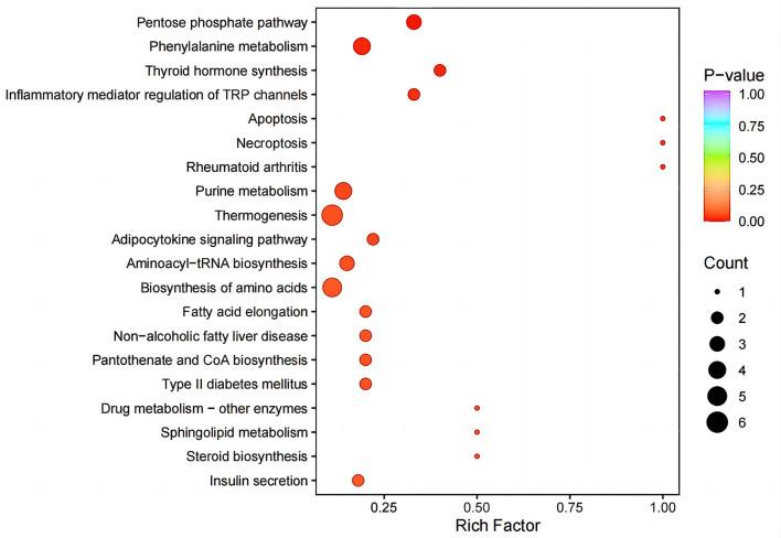 https://cdn.ncbi.nlm.nih.gov/pmc/blobs/41c8/11515365/d6c58c92aab6/12866_2024_3579_Fig5_HTML.jpg