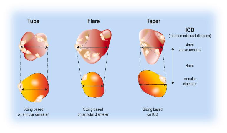 https://cdn.ncbi.nlm.nih.gov/pmc/blobs/41c9/10818151/4735a14eae8d/gr4.jpg