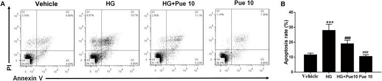 https://cdn.ncbi.nlm.nih.gov/pmc/blobs/41c9/7033627/7845e869f5b8/fphys-11-00073-g002.jpg