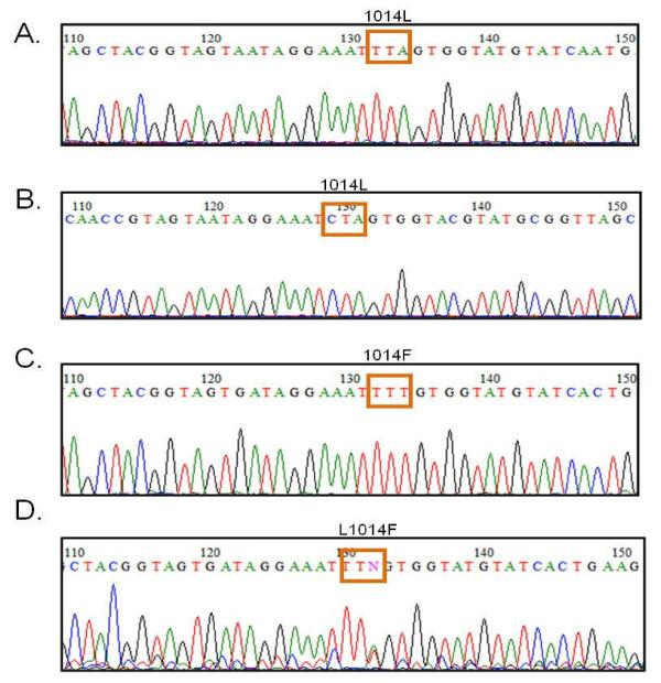 https://cdn.ncbi.nlm.nih.gov/pmc/blobs/41ca/2989330/1ef7d1b98246/1475-2875-9-315-2.jpg
