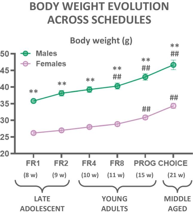 https://cdn.ncbi.nlm.nih.gov/pmc/blobs/41cb/10593617/c37c18936fd0/213_2023_6430_Fig4_HTML.jpg