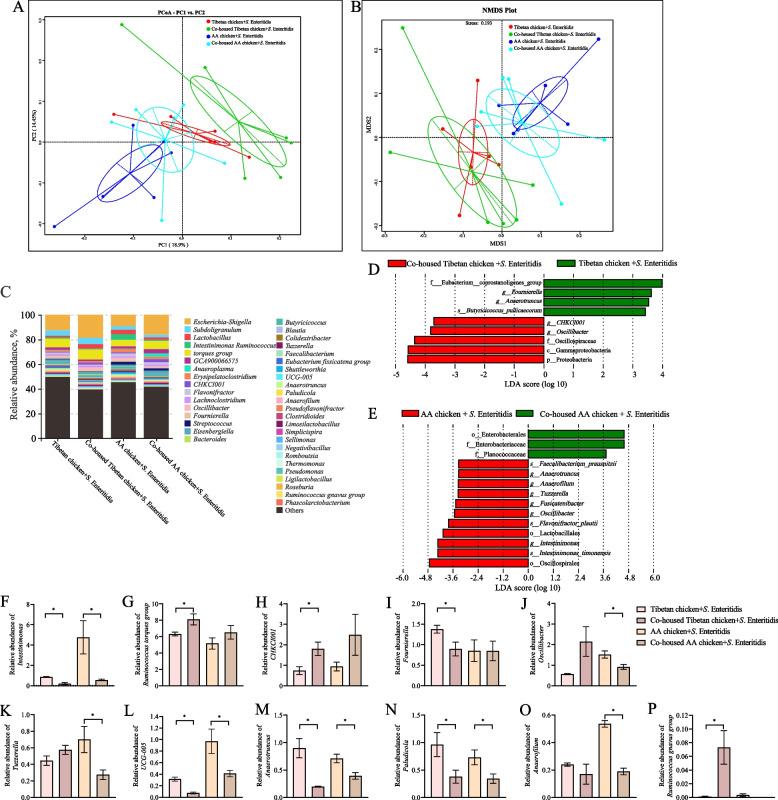 https://cdn.ncbi.nlm.nih.gov/pmc/blobs/41cc/11697627/10cebf4018ea/40104_2024_1132_Fig5_HTML.jpg