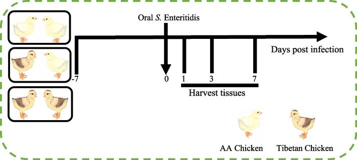 https://cdn.ncbi.nlm.nih.gov/pmc/blobs/41cc/11697627/bda71affbf9f/40104_2024_1132_Fig1_HTML.jpg