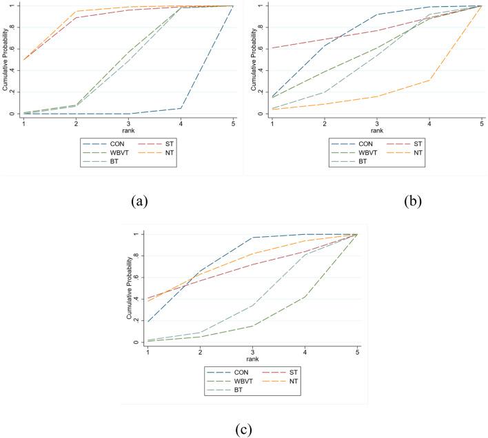 https://cdn.ncbi.nlm.nih.gov/pmc/blobs/41d0/12370742/f74724fab6b0/fphys-16-1623908-g004.jpg