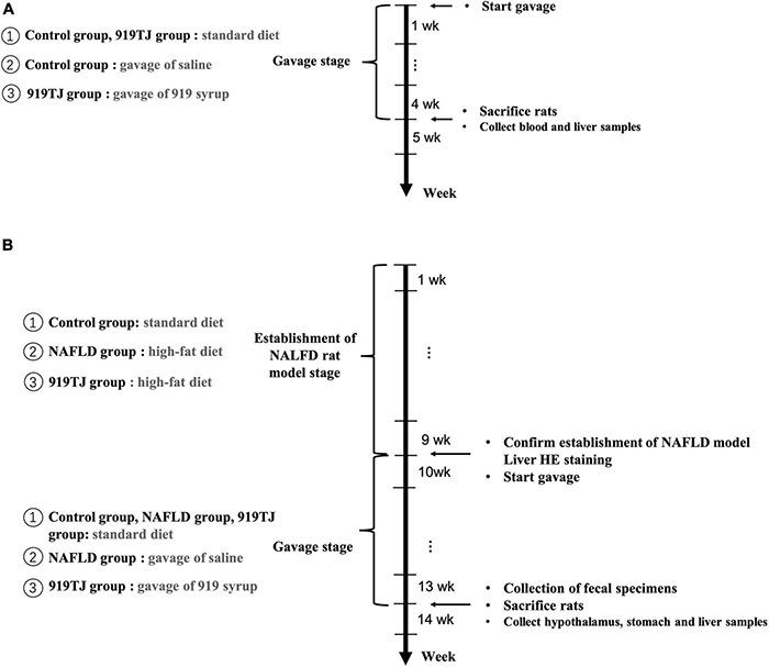 https://cdn.ncbi.nlm.nih.gov/pmc/blobs/41d4/8740226/b02a87c02078/fmicb-12-793854-g001.jpg
