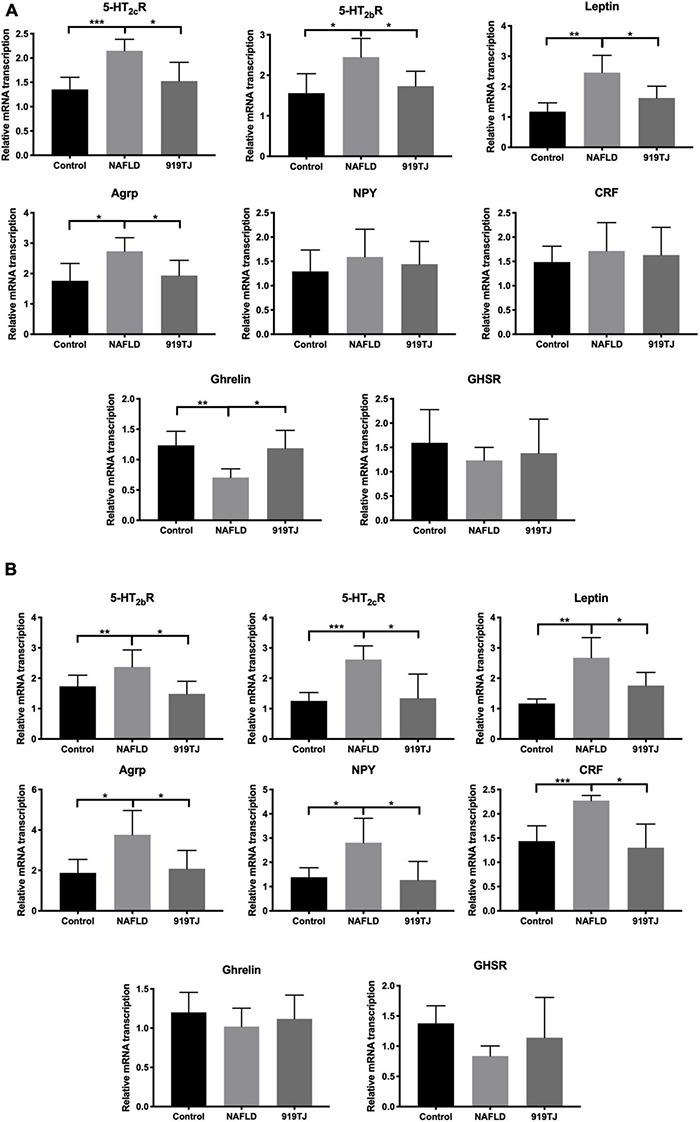 https://cdn.ncbi.nlm.nih.gov/pmc/blobs/41d4/8740226/bdbd1558a463/fmicb-12-793854-g006.jpg