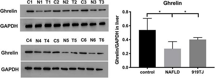 https://cdn.ncbi.nlm.nih.gov/pmc/blobs/41d4/8740226/f44652191cfa/fmicb-12-793854-g007.jpg