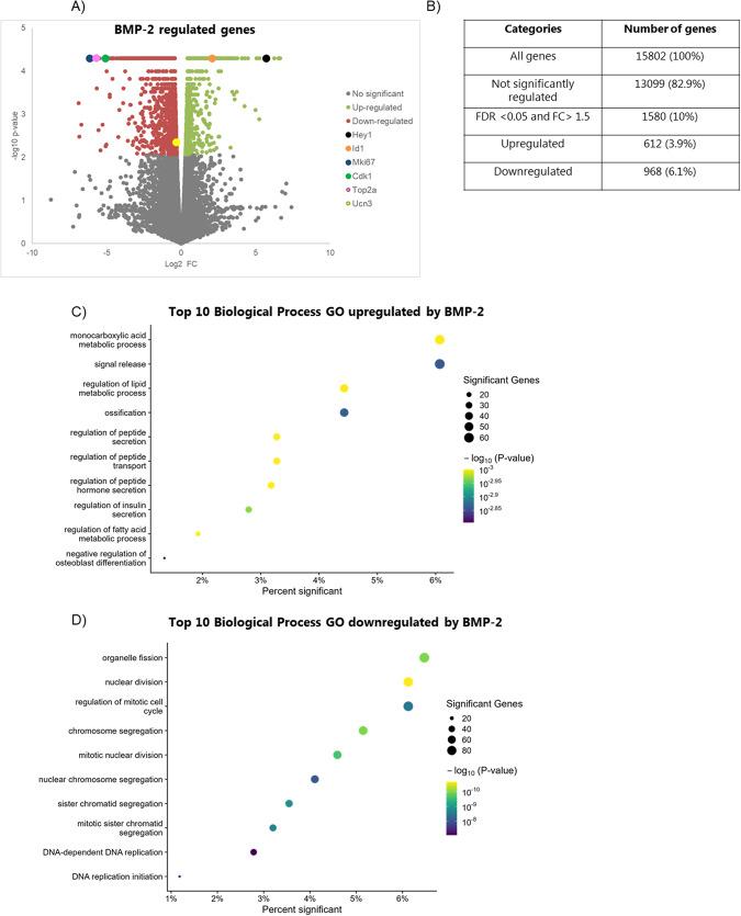 https://cdn.ncbi.nlm.nih.gov/pmc/blobs/41d5/10322916/1cd673c14742/41419_2023_5906_Fig3_HTML.jpg