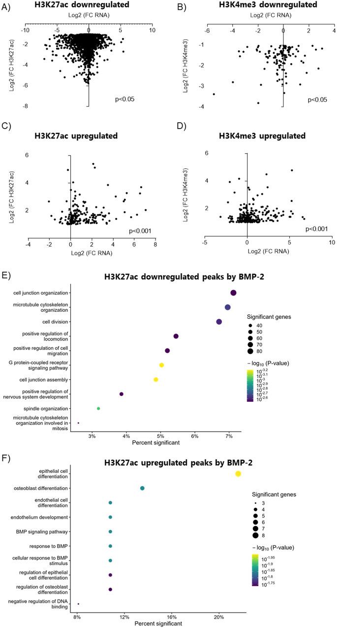 https://cdn.ncbi.nlm.nih.gov/pmc/blobs/41d5/10322916/89db4f56c7fb/41419_2023_5906_Fig6_HTML.jpg