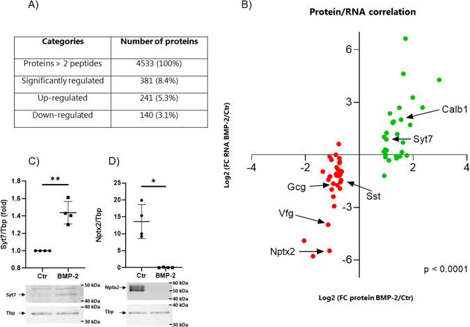 https://cdn.ncbi.nlm.nih.gov/pmc/blobs/41d5/10322916/d13c5aeb7cb7/41419_2023_5906_Fig4_HTML.jpg