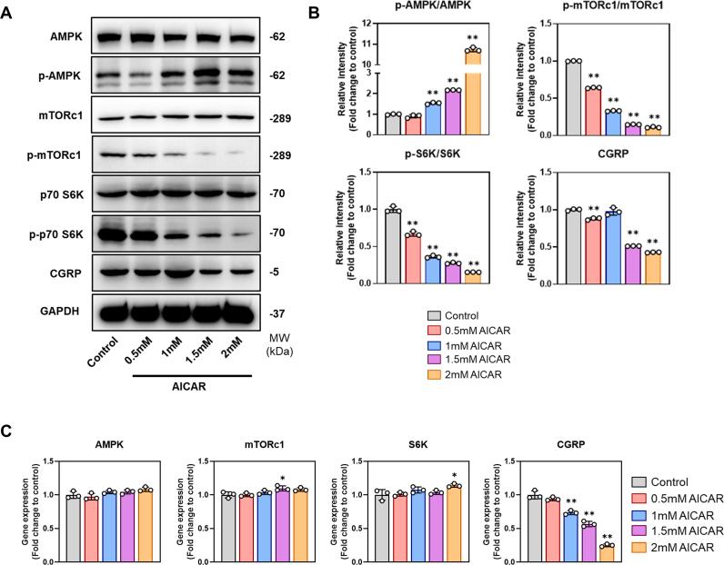 https://cdn.ncbi.nlm.nih.gov/pmc/blobs/41d5/11405936/1769ea314ebc/mmcfigs2.jpg