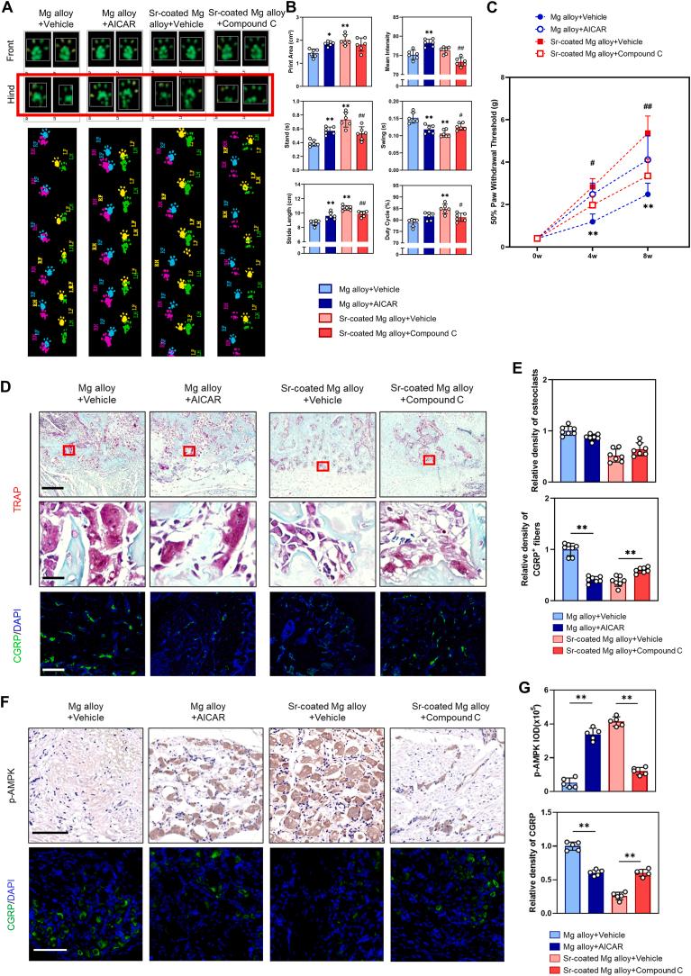 https://cdn.ncbi.nlm.nih.gov/pmc/blobs/41d5/11405936/e0448f37f4e5/gr6.jpg