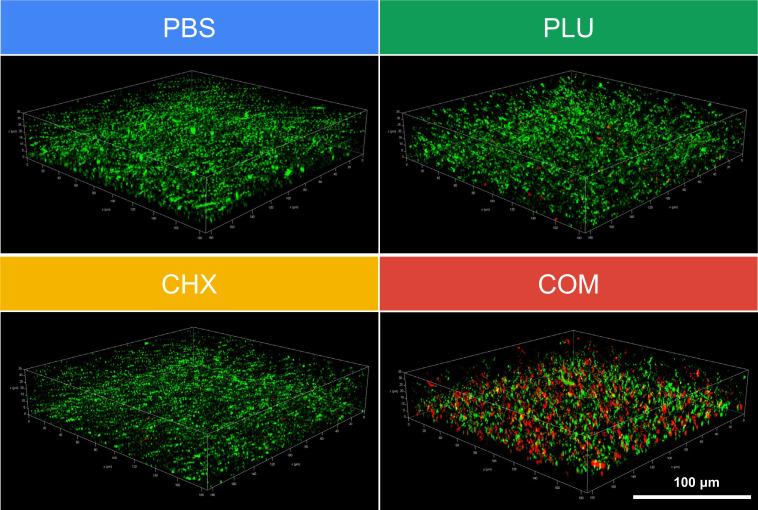 https://cdn.ncbi.nlm.nih.gov/pmc/blobs/41d5/11448042/7d11c72c7af1/spectrum.00896-24.f003.jpg
