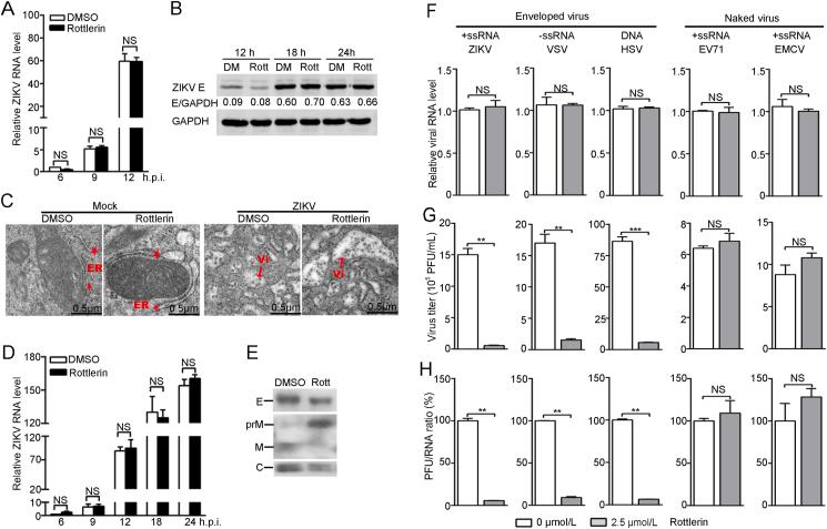 https://cdn.ncbi.nlm.nih.gov/pmc/blobs/41d5/9583117/2ee08e732a17/gr6.jpg