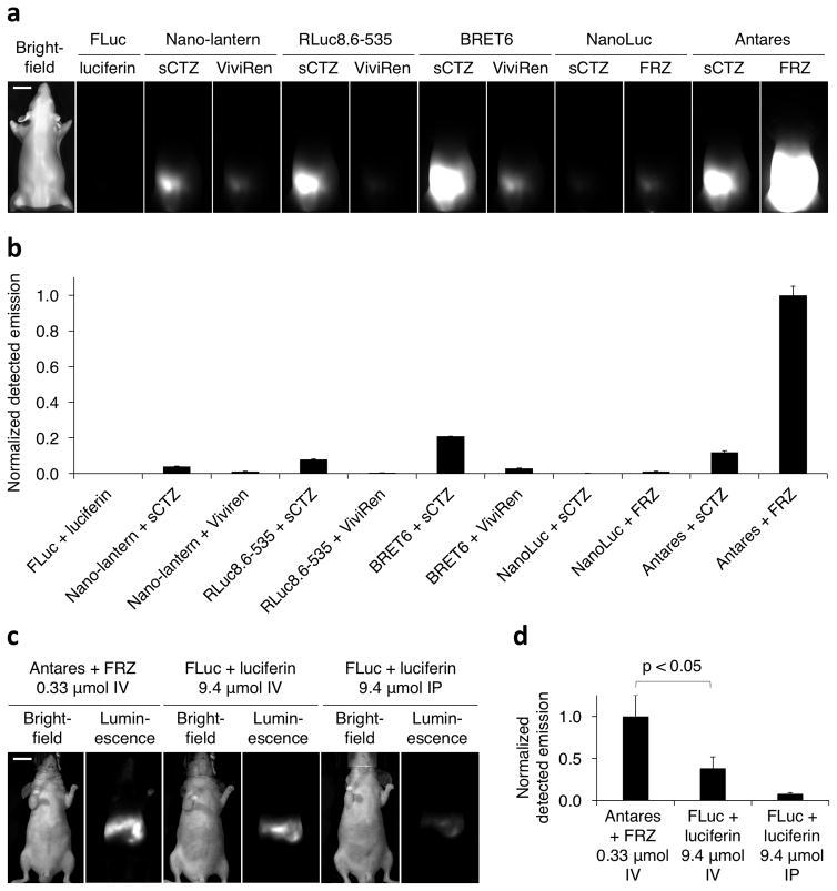 https://cdn.ncbi.nlm.nih.gov/pmc/blobs/41d7/4942401/fd06157634c6/nihms772085f5.jpg