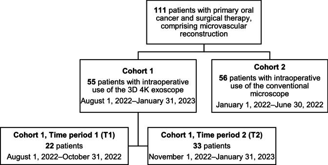 https://cdn.ncbi.nlm.nih.gov/pmc/blobs/41d8/11790798/91b3a6029474/10006_2025_1342_Fig1_HTML.jpg
