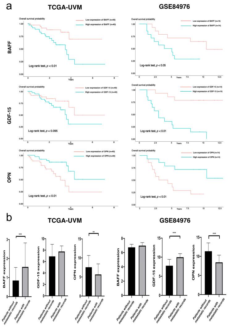 https://cdn.ncbi.nlm.nih.gov/pmc/blobs/41d8/8158498/02f00f201637/cancers-13-02464-g007.jpg