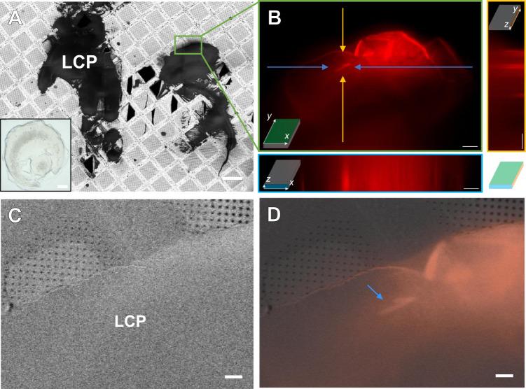 https://cdn.ncbi.nlm.nih.gov/pmc/blobs/41da/9968316/be88e6347740/41467_2023_36733_Fig1_HTML.jpg