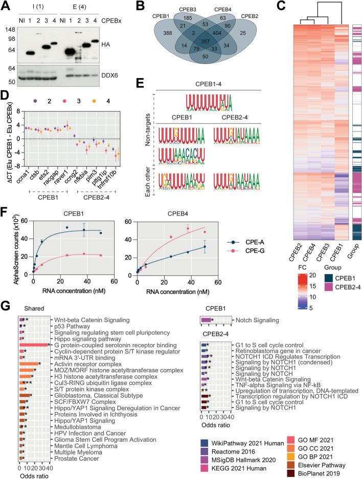 https://cdn.ncbi.nlm.nih.gov/pmc/blobs/41db/9465852/80cae76466a6/13059_2022_2759_Fig5_HTML.jpg