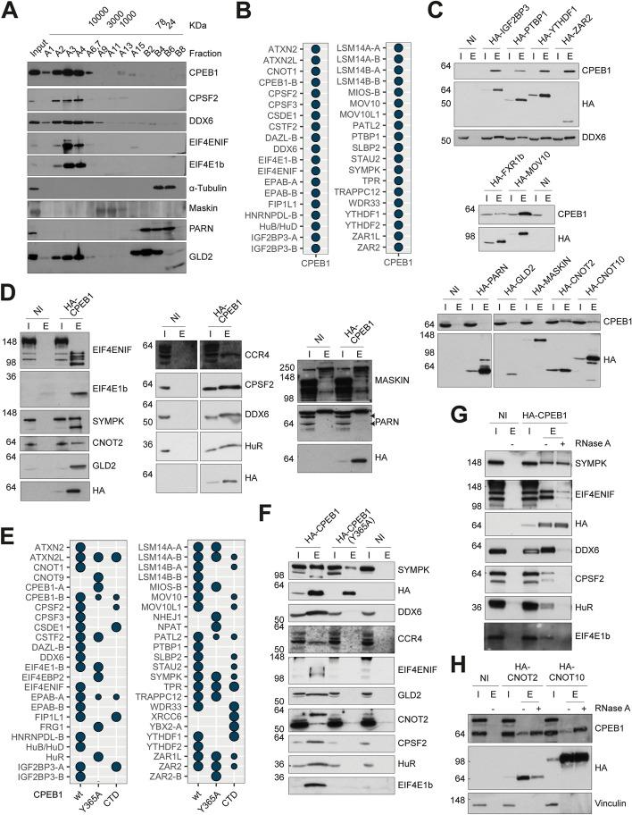 https://cdn.ncbi.nlm.nih.gov/pmc/blobs/41db/9465852/df17fb9e2af0/13059_2022_2759_Fig3_HTML.jpg