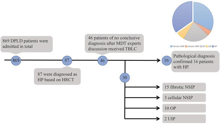 https://cdn.ncbi.nlm.nih.gov/pmc/blobs/41db/9829620/6375ee81993a/CRJ-17-50-g005.jpg